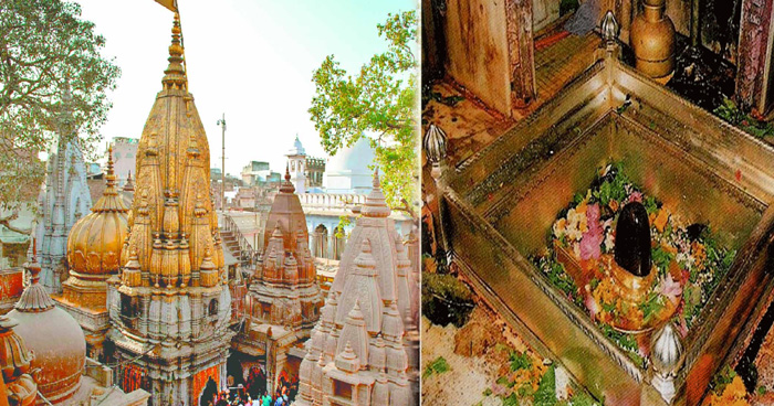 11 26 058997442kashi 1