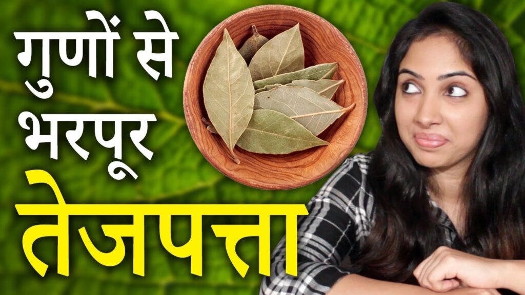 Business Idea: इस पत्ते के सिर्फ 50 पौधों से होती है सालाना 2.50 लाख रुपये तक की आमदनी 3 maxresdefault 4