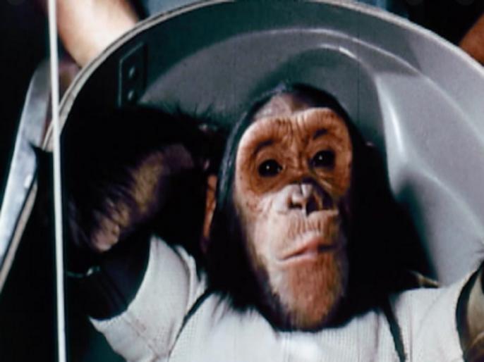 monkey space